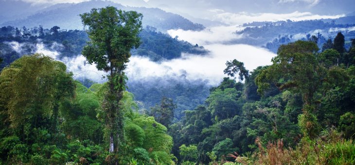 Condor lance des vols vers Quito