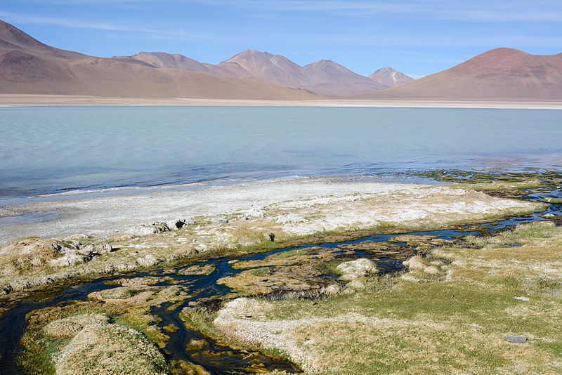 Bolivie