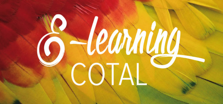 E-Learning COTAL : les résultats !