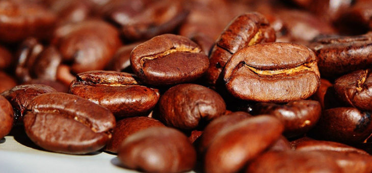 Le café dans la culture : des atouts gastronomiques, touristiques et écologiques – Part2