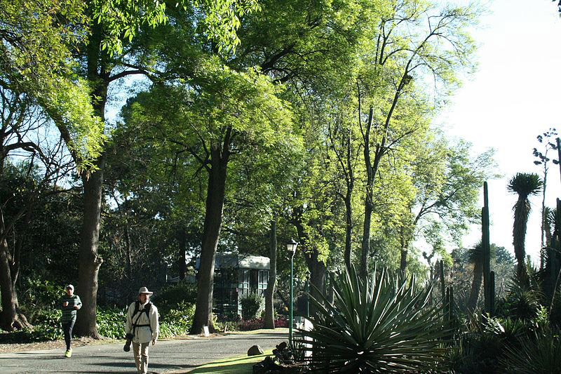 Parcs et jardins urbains