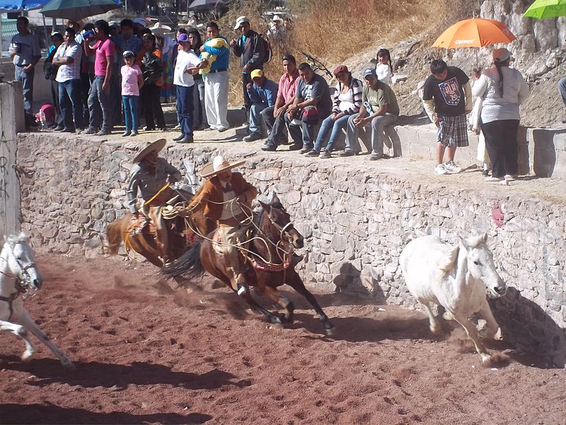 sports populaires en Amrique Latine