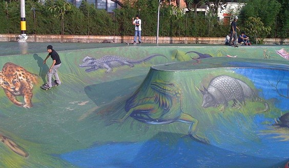 La pratique du skateboard, loin d’être anecdotique en Amérique latine